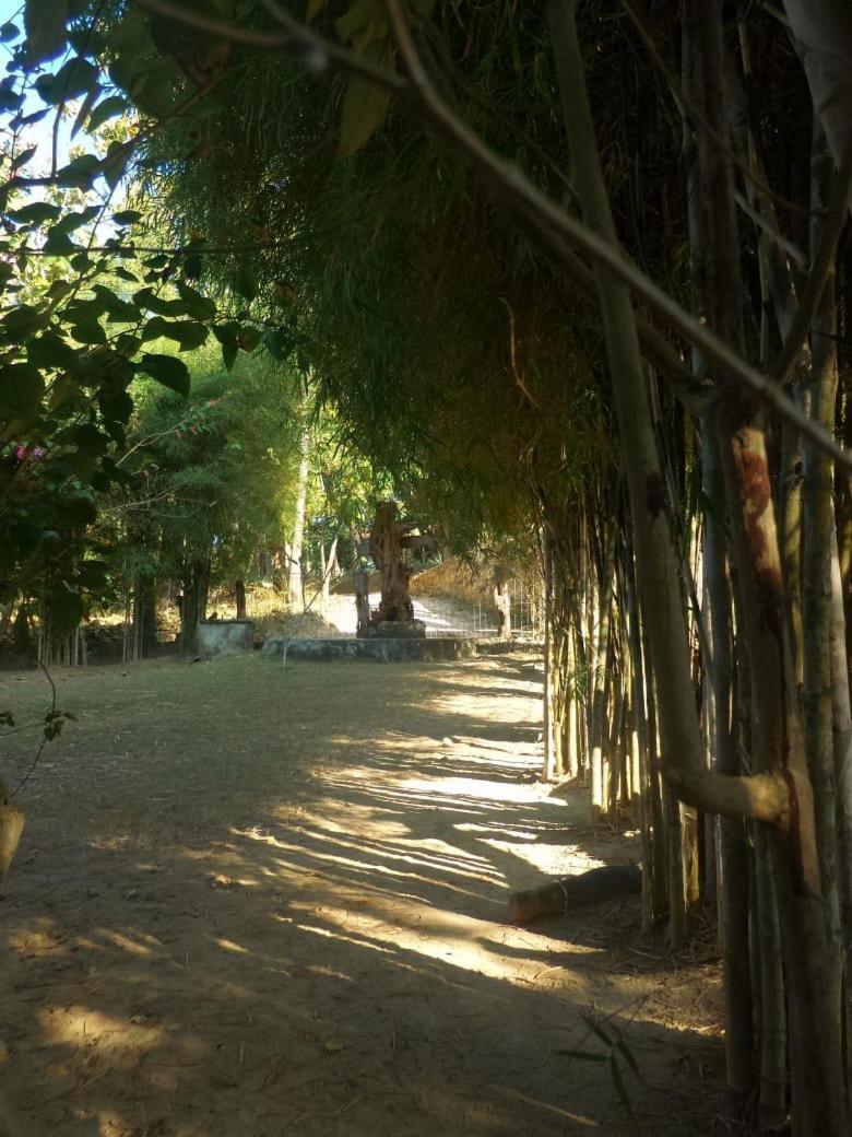 Ary'S Lagoon Bungalow & Hotel Karimunjawa Luaran gambar