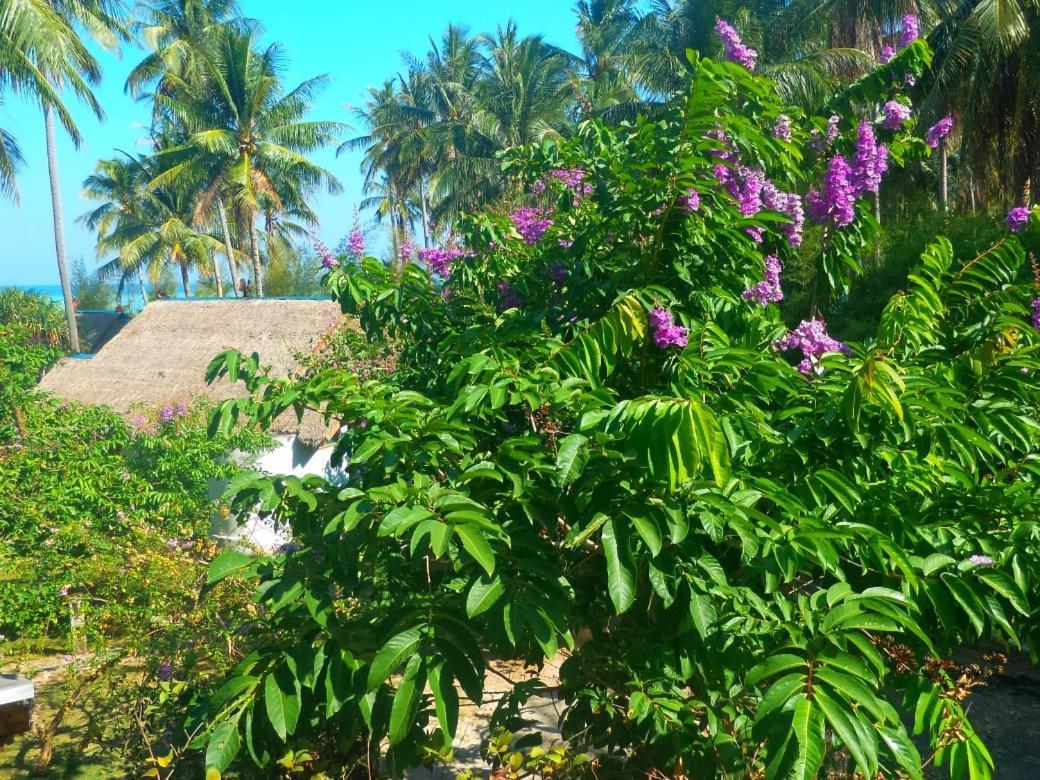 Ary'S Lagoon Bungalow & Hotel Karimunjawa Luaran gambar