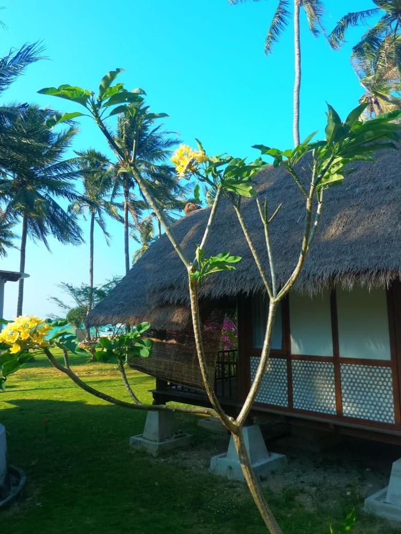 Ary'S Lagoon Bungalow & Hotel Karimunjawa Luaran gambar
