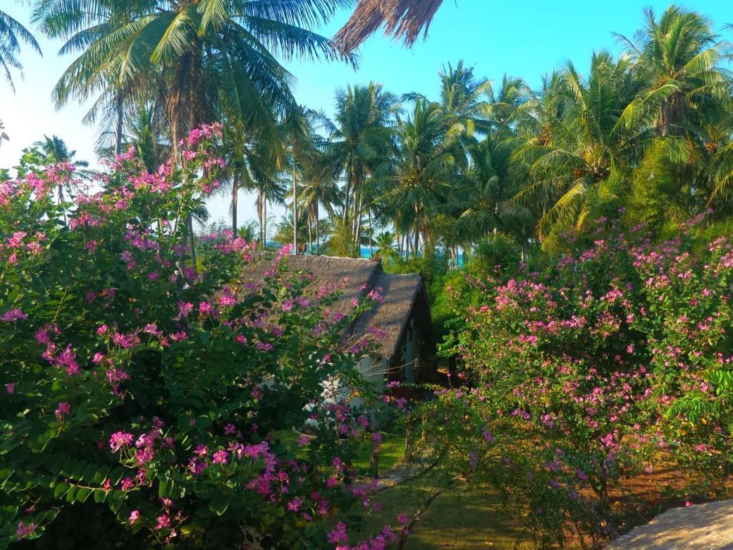 Ary'S Lagoon Bungalow & Hotel Karimunjawa Luaran gambar